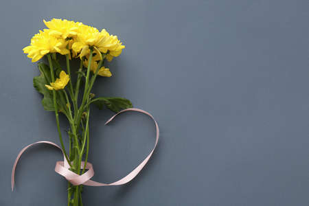 Yellow chrysanthemum flowers on dark backgroundの写真素材