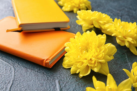Yellow chrysanthemum flowers and notebooks on dark backgroundの写真素材