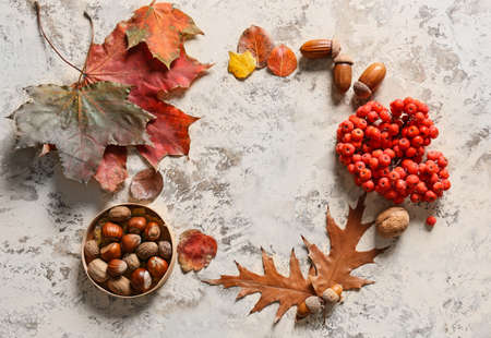 Frame made of natural forest decor and hazelnuts on grunge backgroundの写真素材