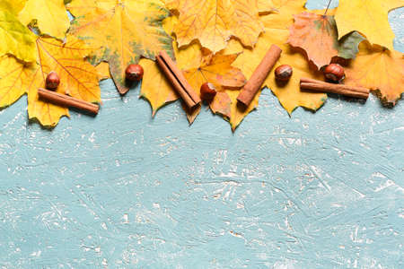 Yellow maple leaves, cinnamon and hazelnuts on color backgroundの写真素材