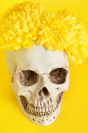 Human skull with flowers on yellow background, closeupの写真素材