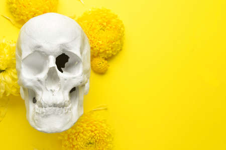 human skull with flowers on yellow backgroundの写真素材