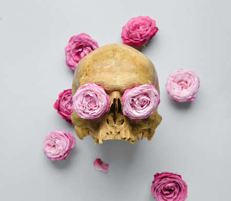 human skull with flowers on gray background