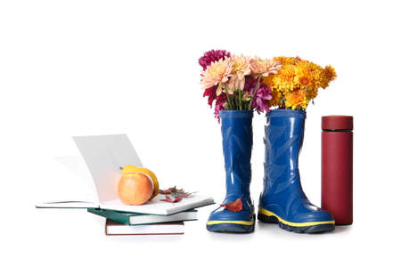 Rubber boots, flask, books and fruits on white background