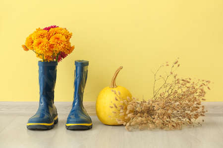 Pair of rubber boots, flowers and pumpkin against color wallの写真素材