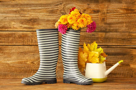 Rubber boots, watering can, autumn leaves and flowers on wooden backgroundの写真素材