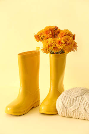 Pair of rubber boots with autumn flowers and clothes on color backgroundの写真素材
