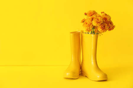 Pair of rubber boots and flowers on yellow backgroundの写真素材