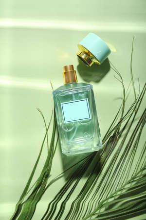 Bottle of perfume and tropical leaf in water on green background
