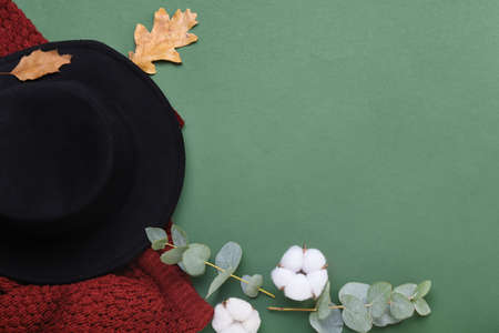 Cotton flowers, sweater and hat on green backgroundの写真素材
