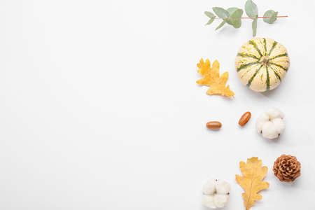 Autumn composition with cotton flowers and pumpkin on white backgroundの写真素材