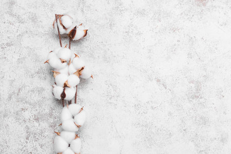 Cotton flowers on light backgroundの写真素材