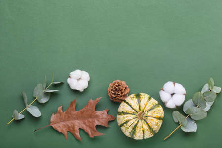 Autumn composition with cotton flowers and pumpkin on green backgroundの写真素材