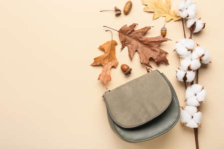Autumn composition with cotton flowers and bag on beige backgroundの写真素材