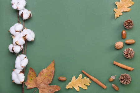 Autumn composition with cotton flowers on green backgroundの写真素材