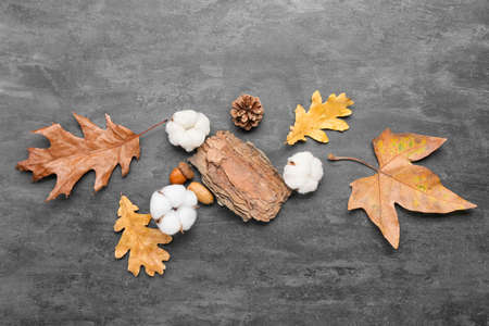 Autumn composition with cotton flowers on dark background