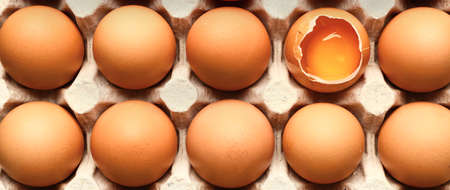 Fresh eggs in package, top view