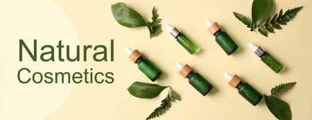 Bottles of essential oils, green leaves and text NATURAL COSMETICS on beige backgroundの写真素材
