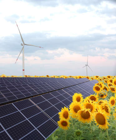 Modern solar panels and windmills for electric power with sunflower field on summer day