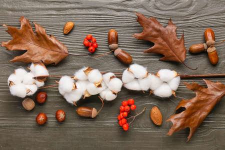 Cotton flowers and beautiful autumn decor on dark wooden background