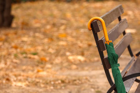 Stylish bright umbrella hanging on bench in autumn park, closeupの写真素材