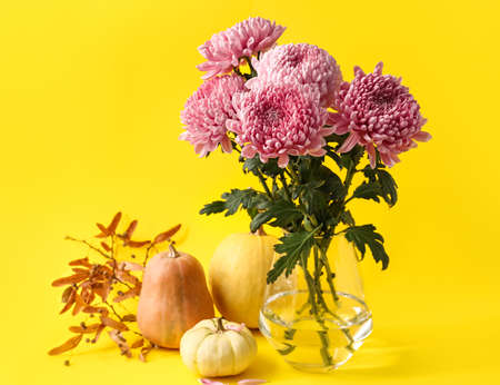 Vase with bouquet of chrysanthemum flowers and pumpkins on yellow backgroundの写真素材