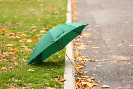 Stylish bright umbrella in autumn parkの写真素材