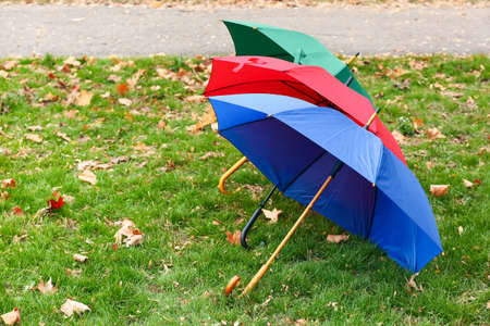 Different bright umbrellas on green grass outdoors