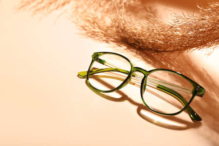 Eyeglasses and pampas grass on color backgroundの写真素材