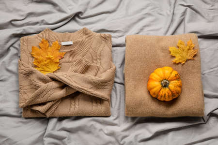 Warm sweaters, pumpkin and autumn leaves on gray fabric backgroundの写真素材