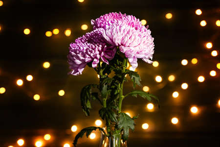 Vase with beautiful chrysanthemum flowers on blurred backgroundの写真素材