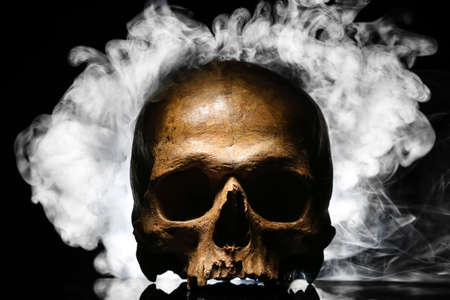 human skull and smoke on black backgroundの写真素材