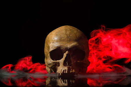 human skull and smoke on black backgroundの写真素材