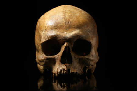 Ancient human skull on black backgroundの写真素材