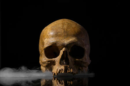 human skull and smoke on black backgroundの写真素材
