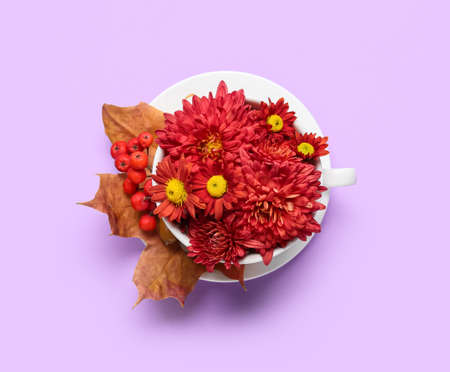 Composition with cup and chrysanthemum flowers on color backgroundの写真素材