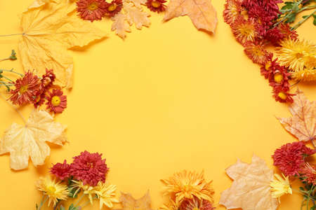 Frame made of chrysanthemum flowers and autumn leaves on color background, closeup