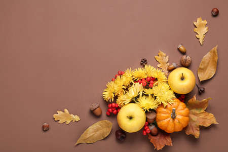 Composition with flowers, apples, pumpkin and natural forest decor on color backgroundの写真素材
