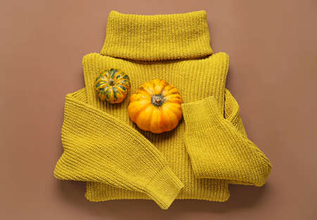 Warm sweater and pumpkins on color backgroundの写真素材