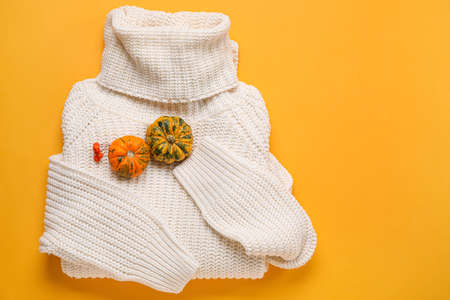 Warm sweater, pumpkins and rowan on color backgroundの写真素材