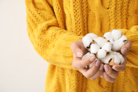 Young woman holding beautiful cotton flowers, closeupの写真素材