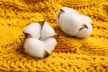 Soft cotton flowers on knitted fabric backgroundの写真素材