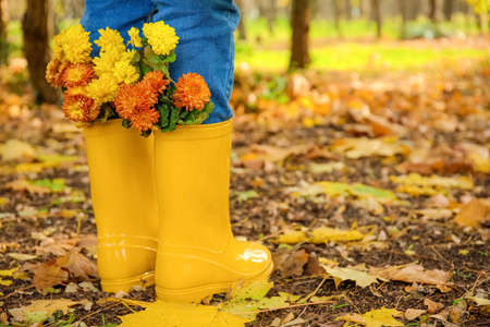Woman in bright gumboots with beautiful Chrysanthemum flowers in autumn park