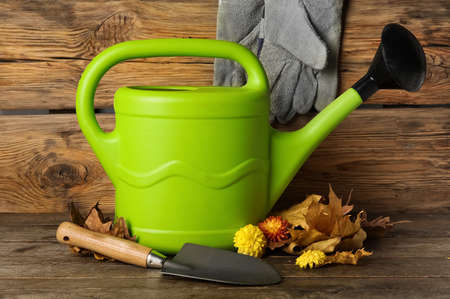 Watering can with beautiful Chrysanthemum flowers and shovel on wooden backgroundの写真素材