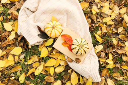 Sweater, book, pumpkins and fallen leaves in autumn parkの写真素材