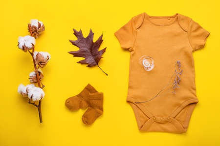 Composition with baby clothes, pacifier and cotton branch on color backgroundの写真素材