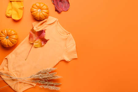 Baby clothes, pumpkins, autumn leaves and pampas grass on color backgroundの写真素材