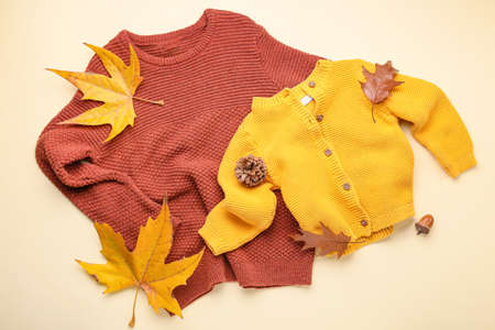 Stylish clothes and autumn leaves on color background