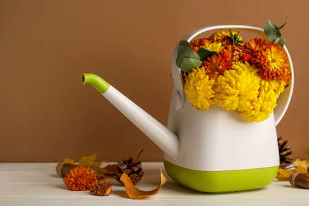 Watering can with beautiful Chrysanthemum flowers on table against brown backgroundの写真素材
