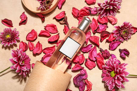 Bottle of perfume, flowers and petals on color background